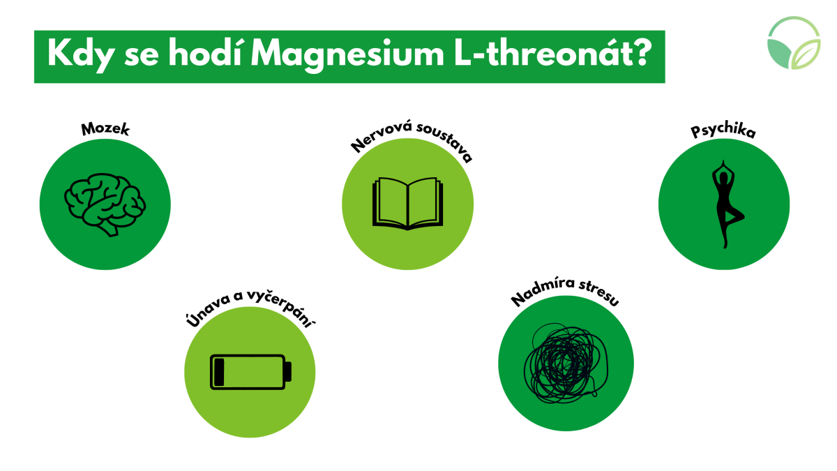 Magtein info