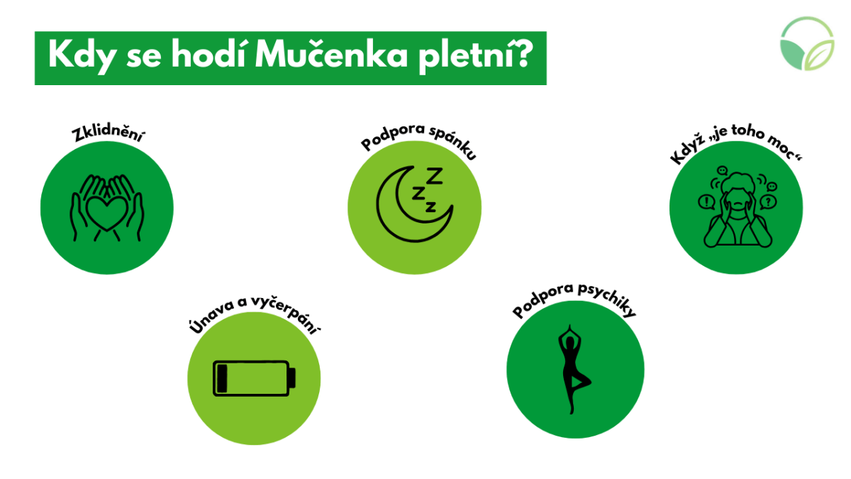 Muenka pletn