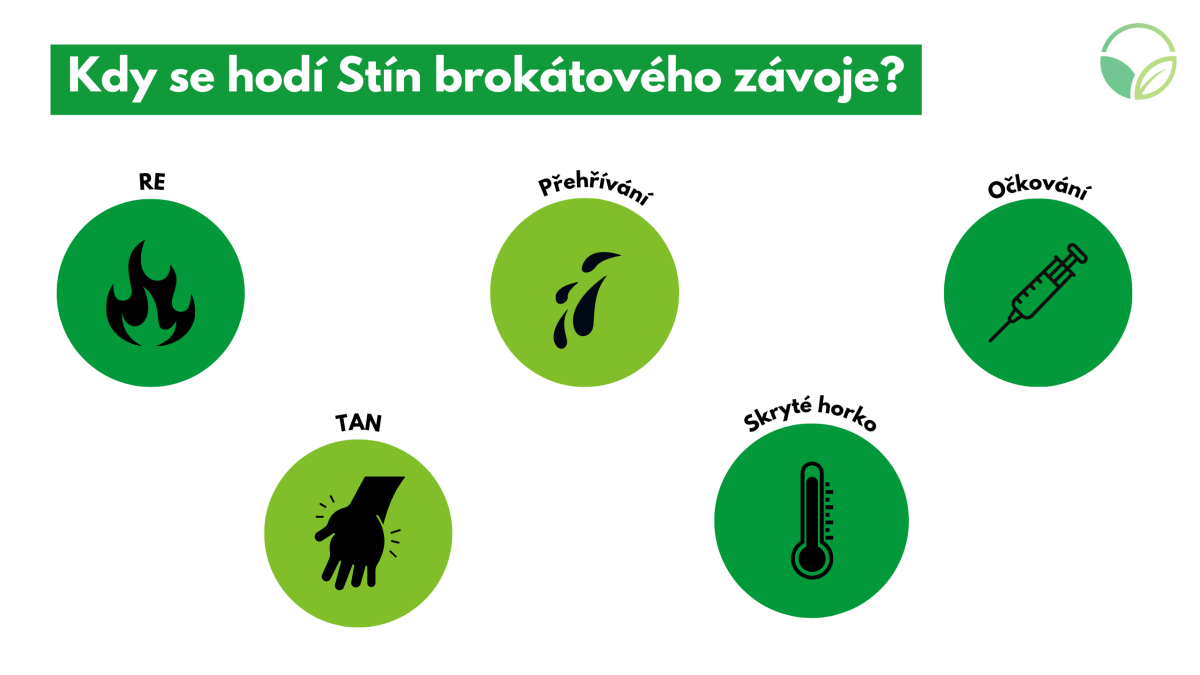 Stn broktovho zvoje