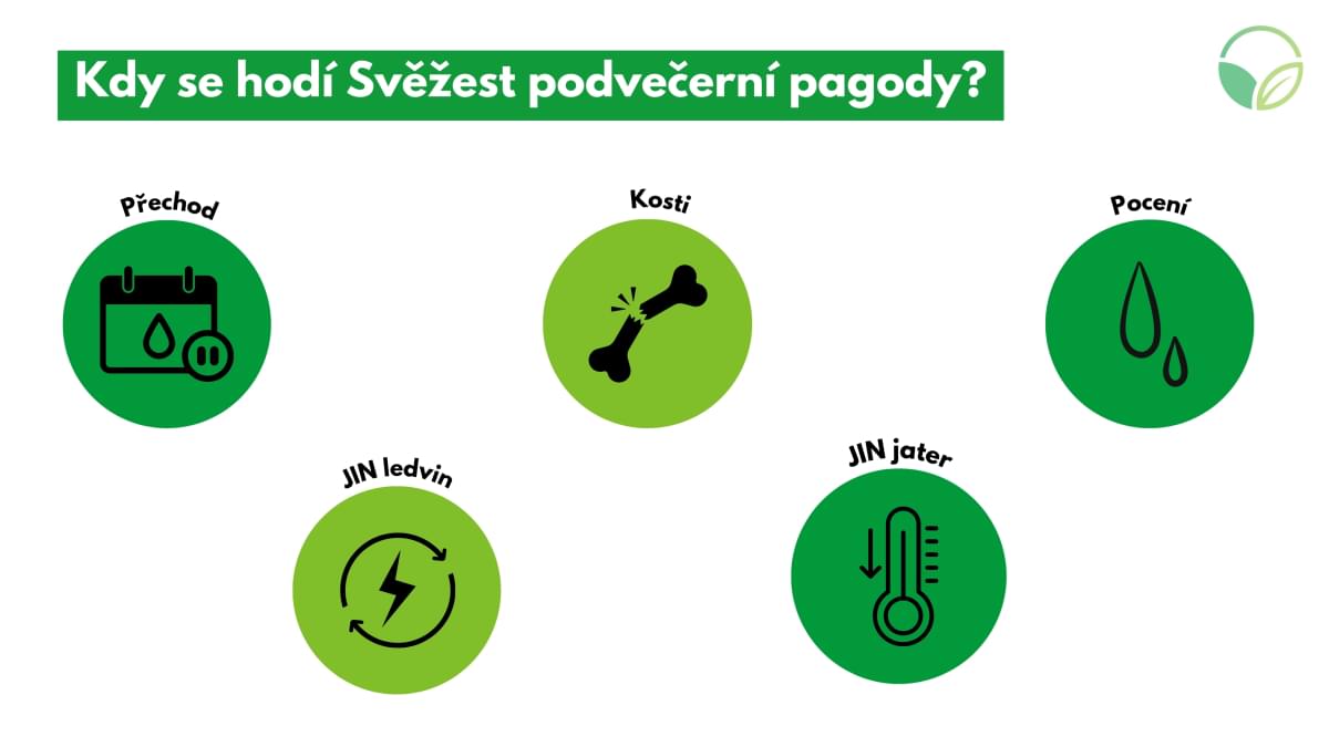 Svest podveern pagody