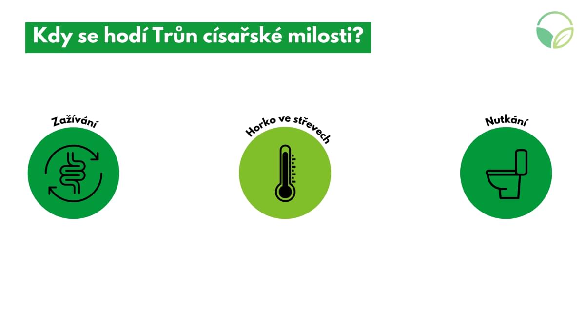 Trn csask milosti