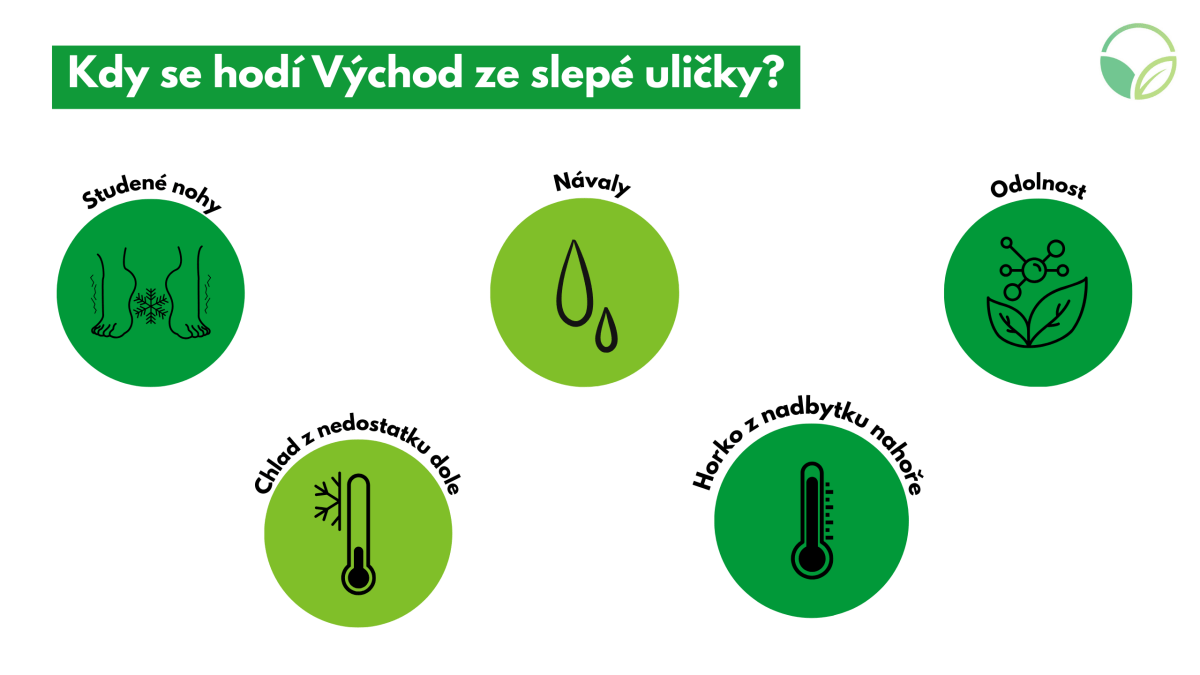 Vchod ze slep uliky