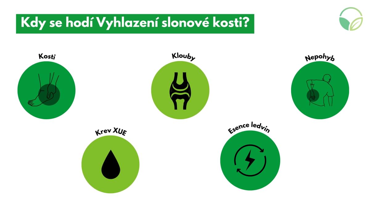 Vyhlazen slonoven kosti