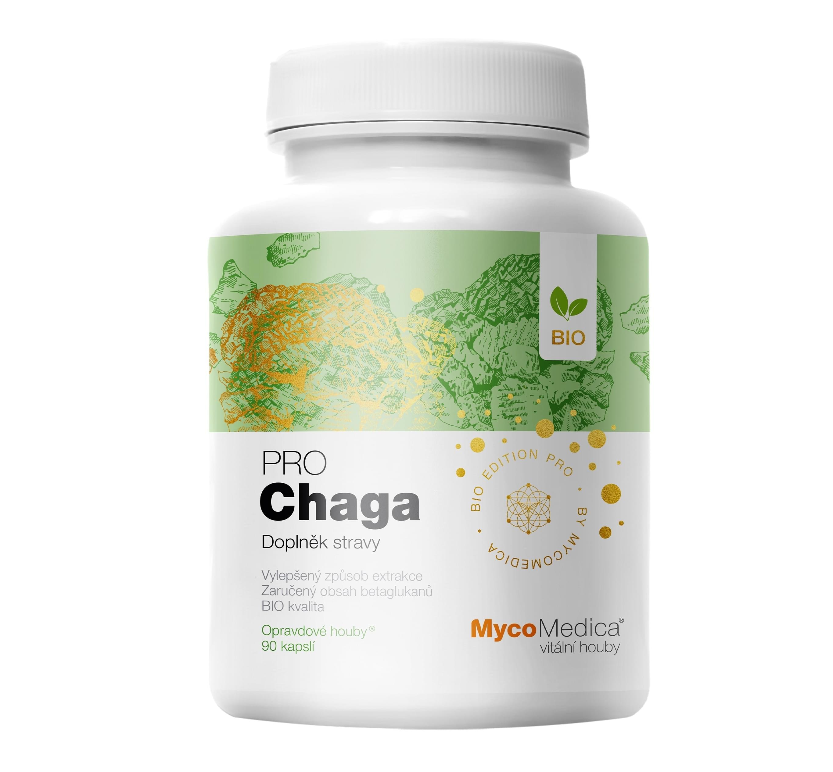 Chaga