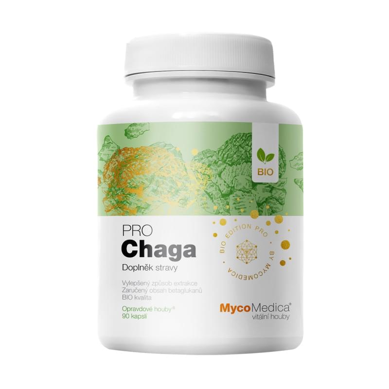 Chaga