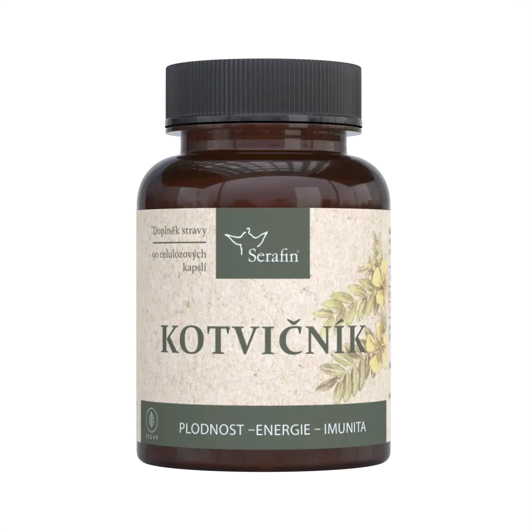 Kotvicnik-serafin