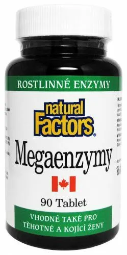 Natural factors Megaenzymy 90 tbl